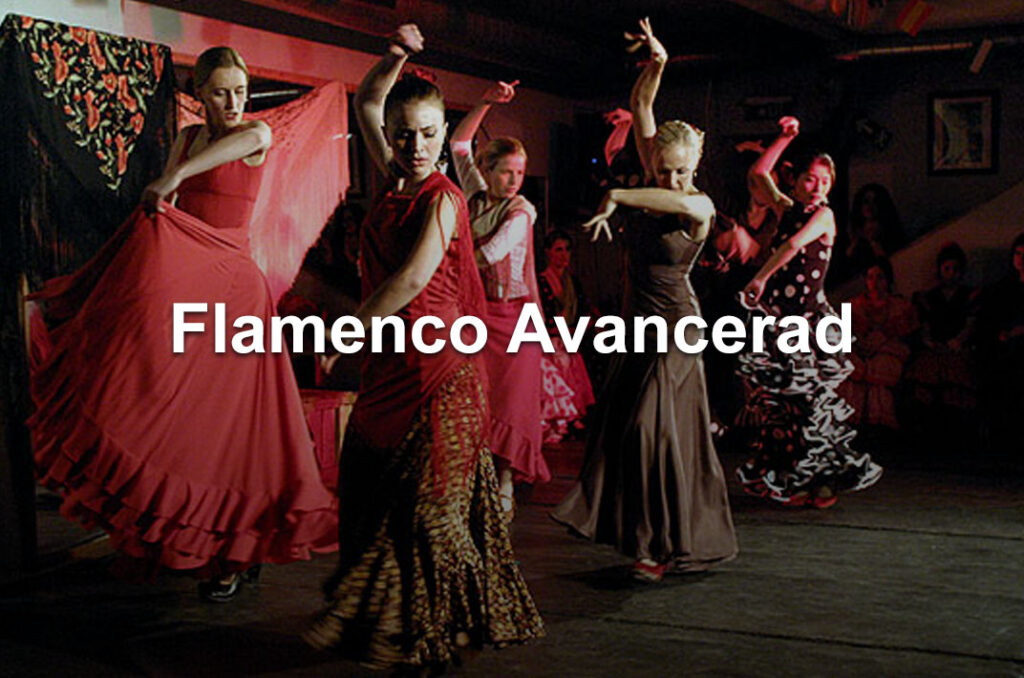 danskurser stockholm vuxna avancerad flamenco