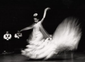 Flamenco performance