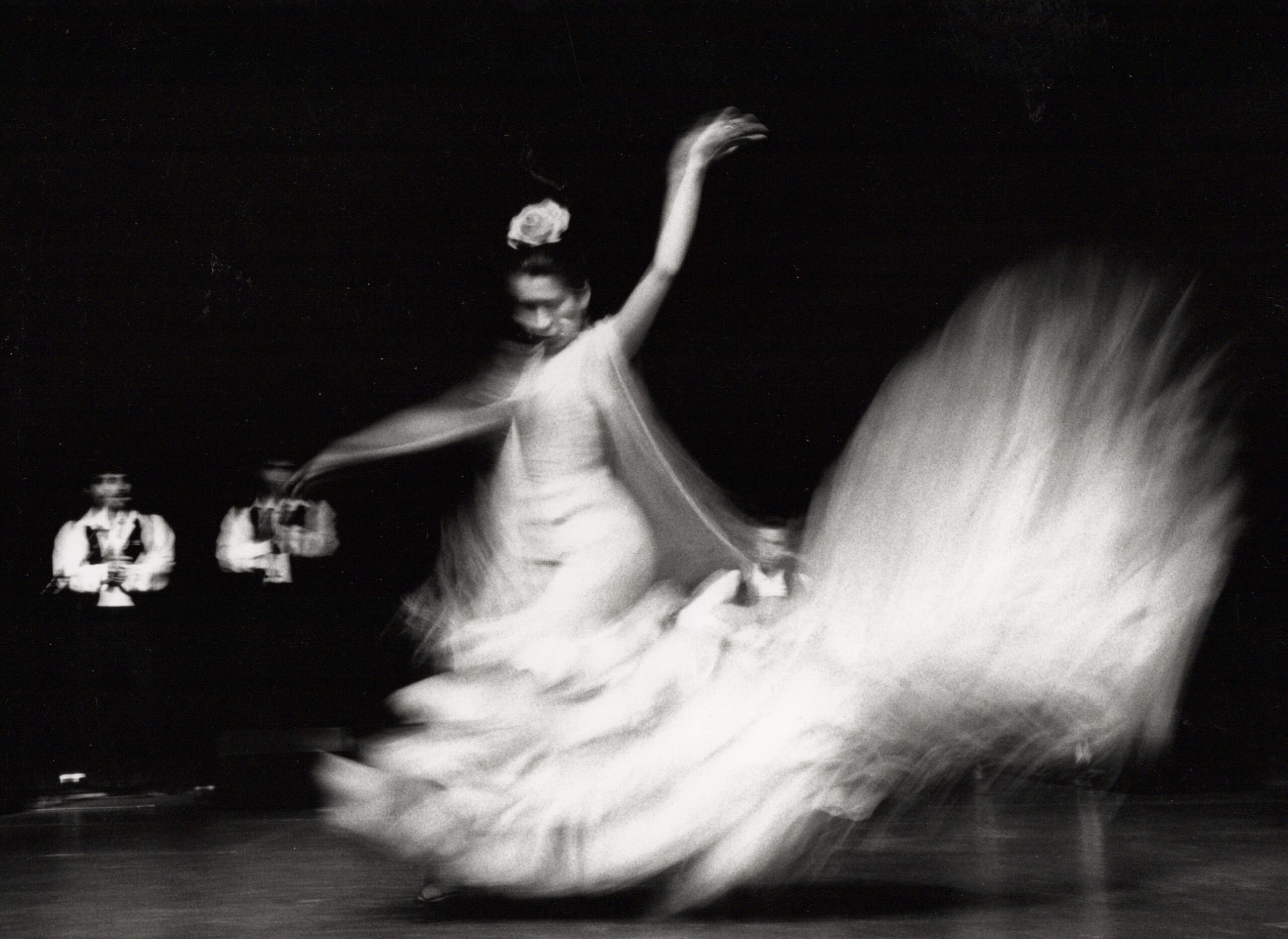 Flamenco performance