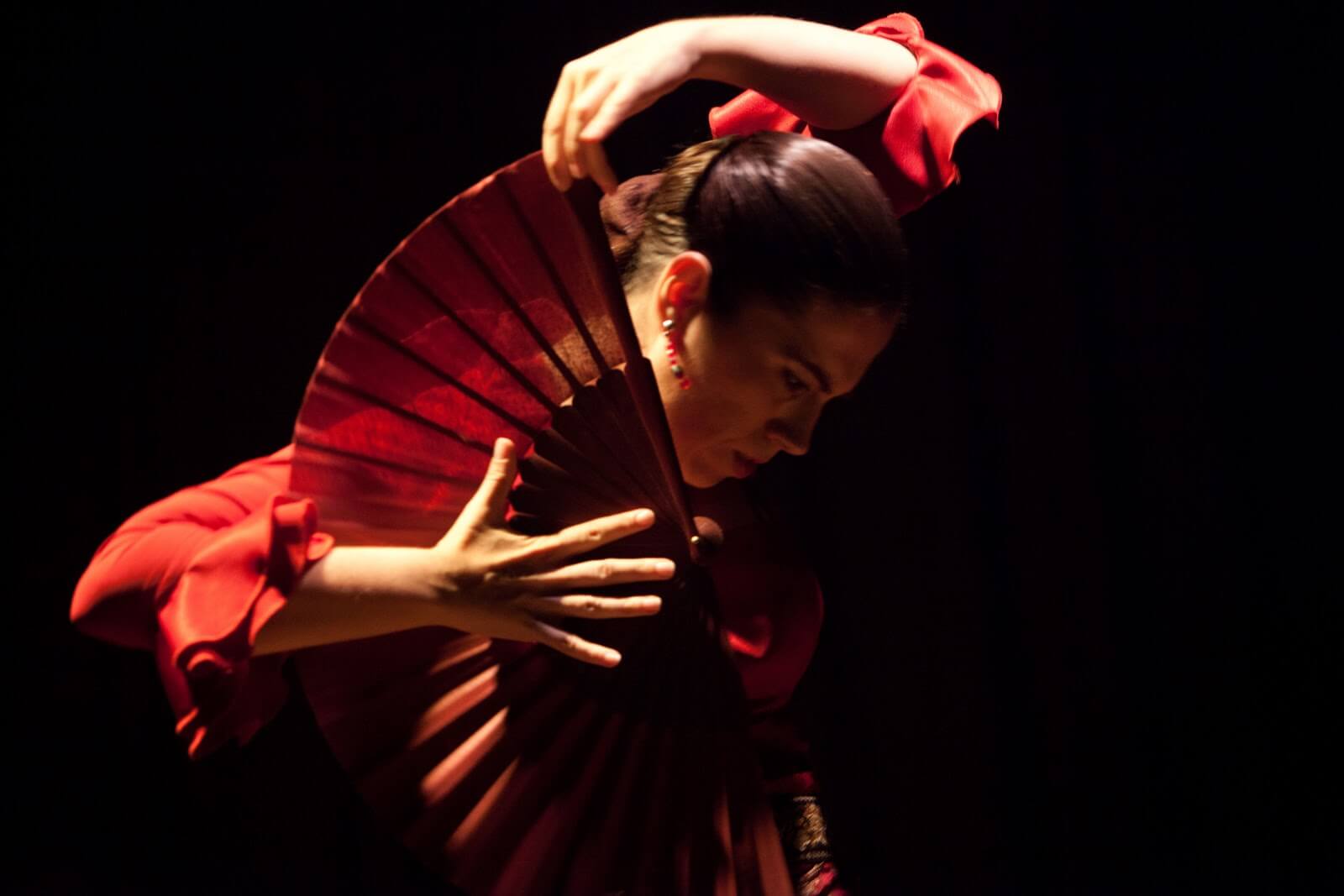 Flamenco class tres