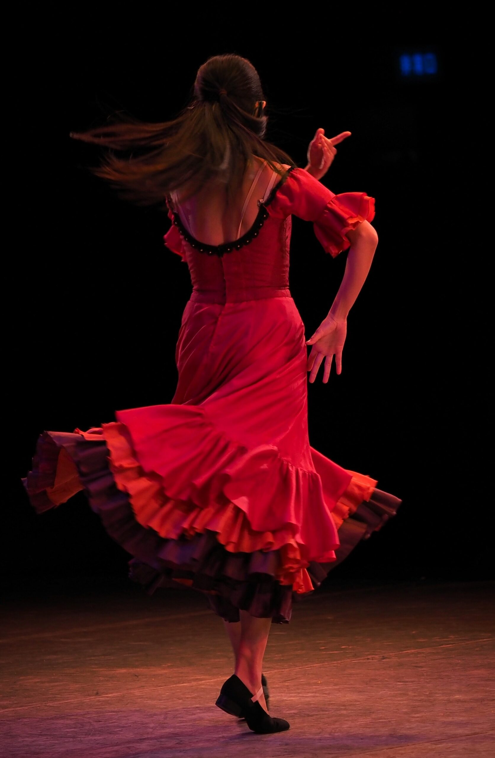 Flamenco performance