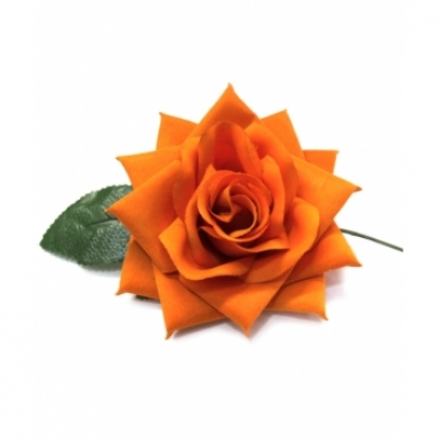 Orange rose